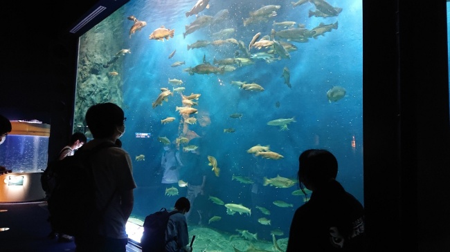 水族館