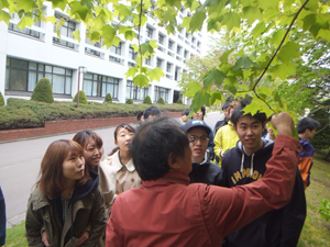 植物を観察している様子